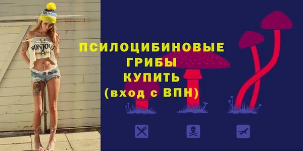 герыч Няндома
