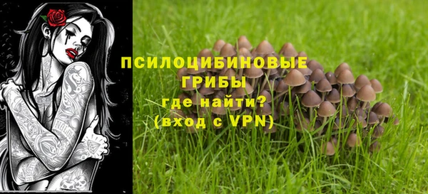 герыч Няндома