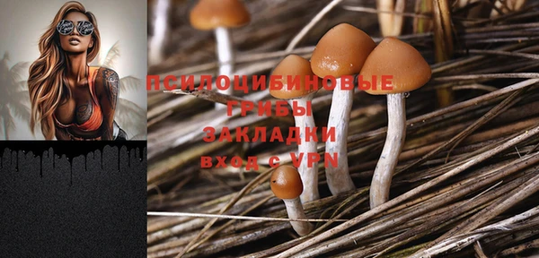 герыч Няндома