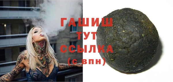 твердый Новодвинск