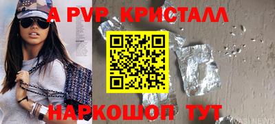 соль ск Кингисепп