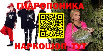 соль ск Кингисепп