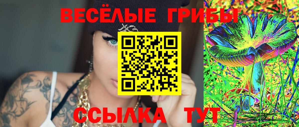 Псилоцибиновые грибы Cubensis  Крымск 