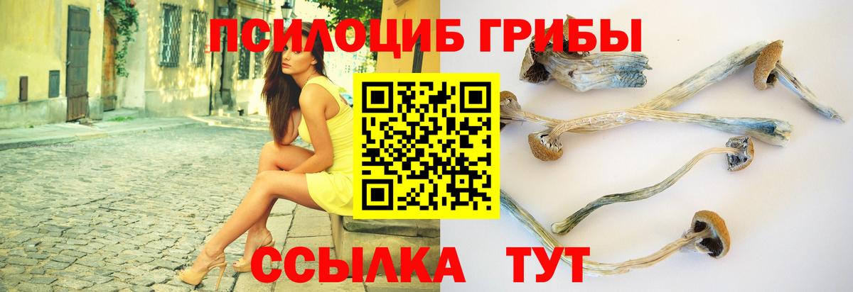 Псилоцибиновые грибы Cubensis Крымск