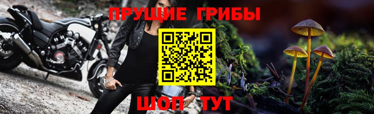 Крымск  Галлюциногенные грибы Cubensis  Галлюциногенные грибы MAGIC MUSHROOMS  Вход с VPN 